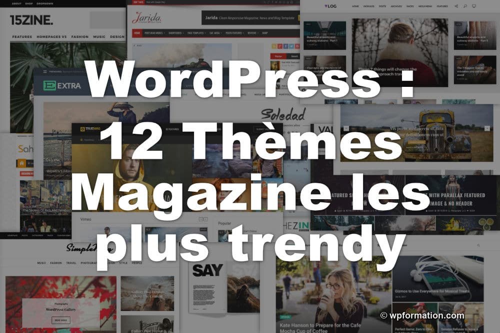 Thèmes magazine WordPress