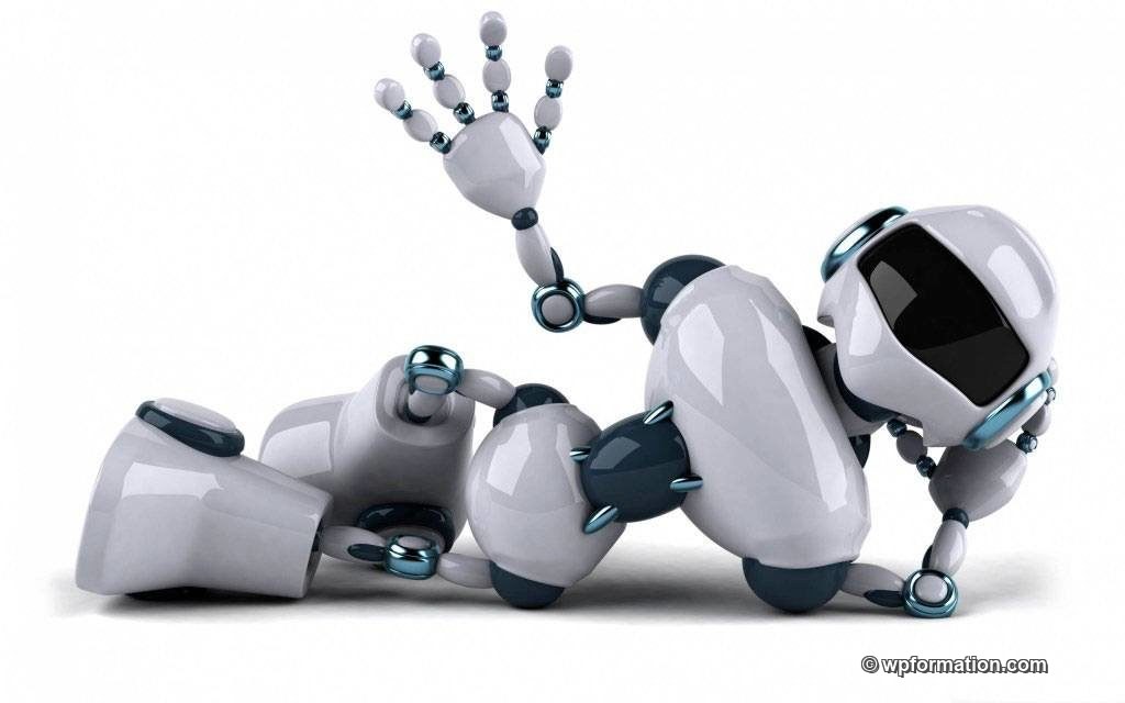 robots-txt-wordpress