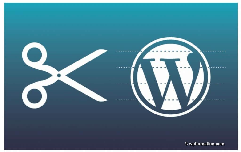 snippets wordpress