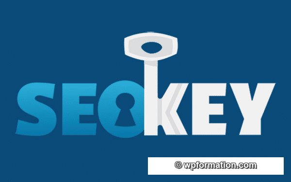 plugin SEOKEY pour améliorer son référencement