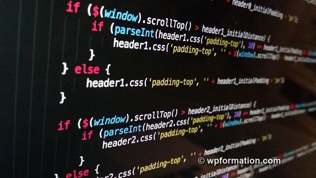 Code source PHP affiché sur un écran - debug WordPress